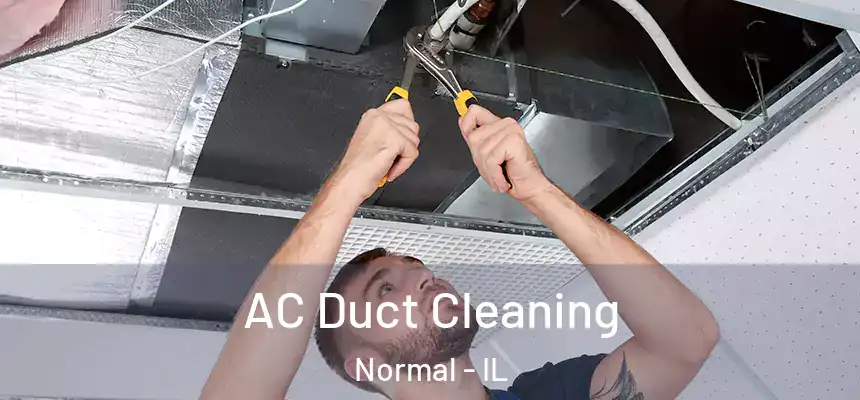 AC Duct Cleaning Normal - IL