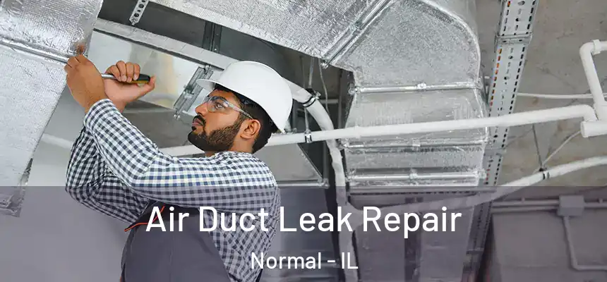 Air Duct Leak Repair Normal - IL