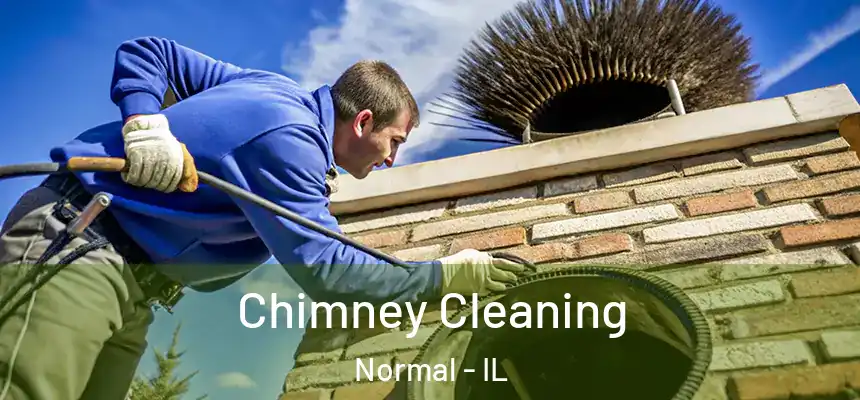 Chimney Cleaning Normal - IL