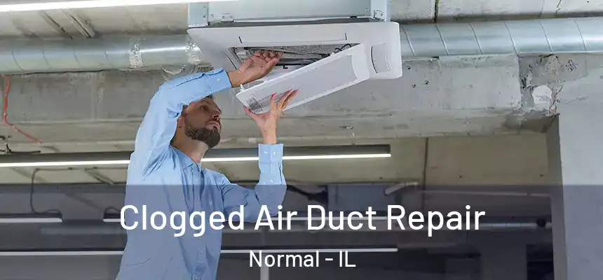 Clogged Air Duct Repair Normal - IL
