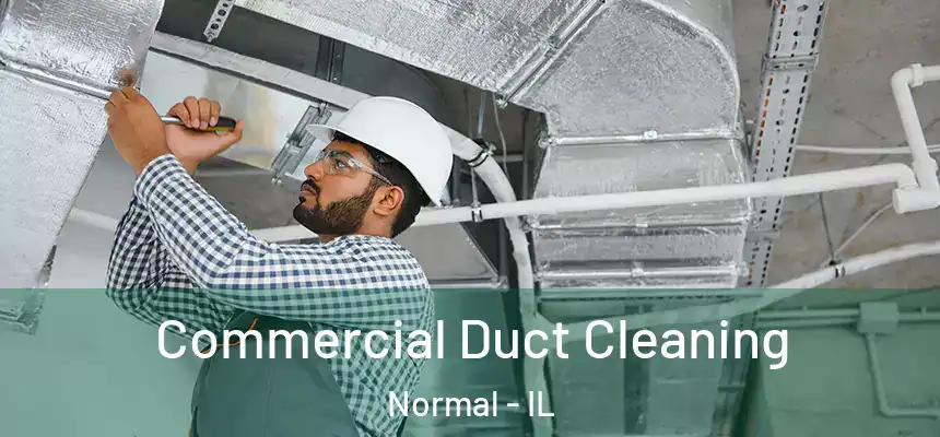  Commercial Duct Cleaning Normal - IL