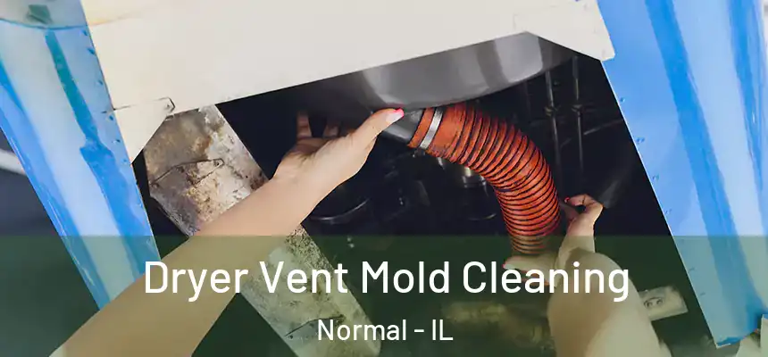  Dryer Vent Mold Cleaning Normal - IL