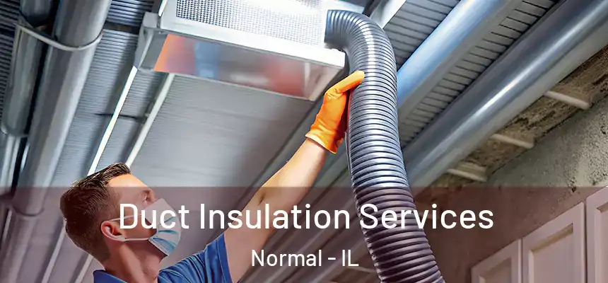 Duct Insulation Services Normal - IL