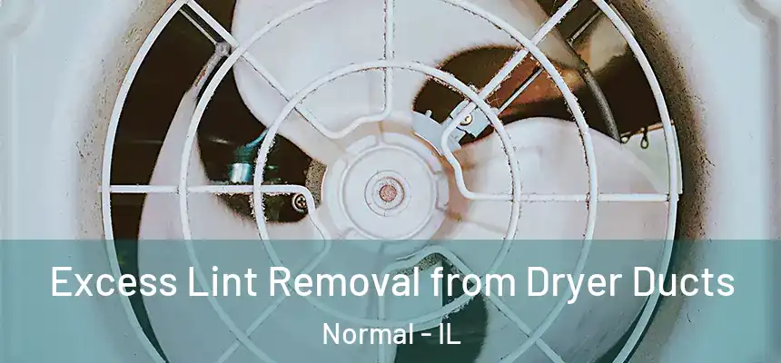 Excess Lint Removal from Dryer Ducts Normal - IL