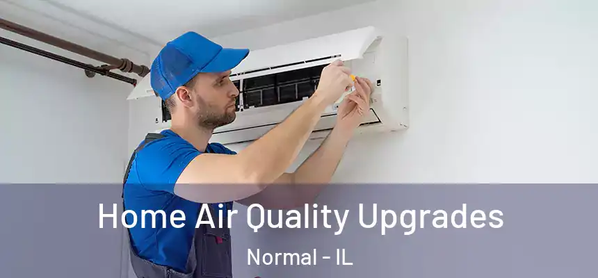 Home Air Quality Upgrades Normal - IL