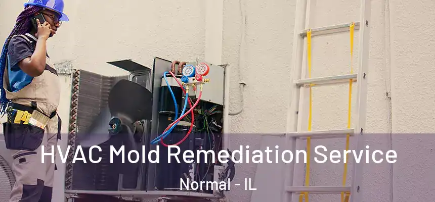 HVAC Mold Remediation Service Normal - IL