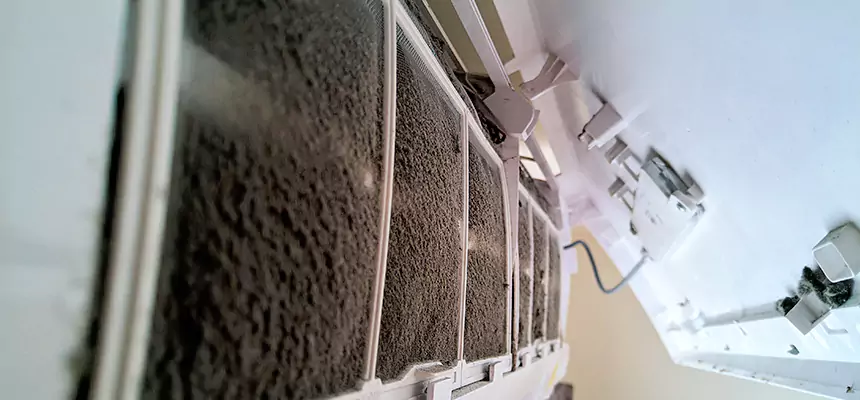 Preventive Air Duct Bacteria Removal in Normal