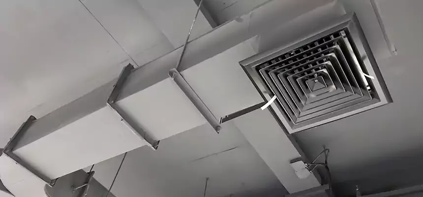 Restorative Allergy Relief Vent Cleaning – Coil, Blower & Housing Detail in Normal