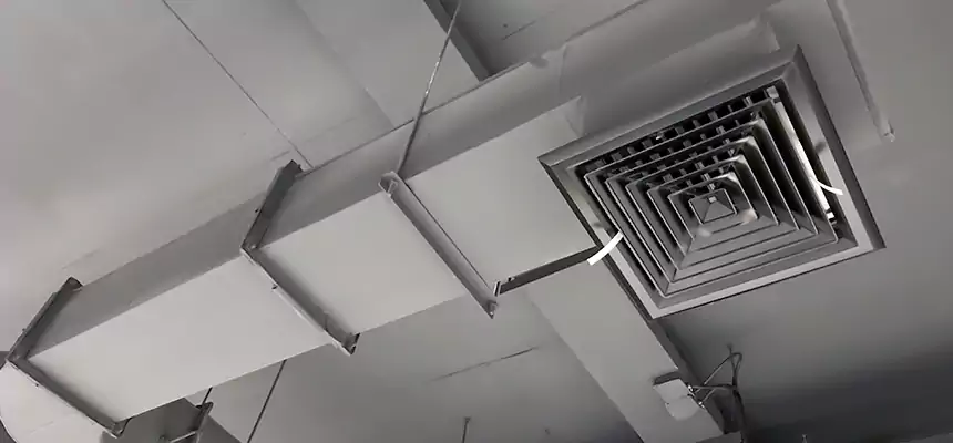 Our Pest Removal From Ducts Services in Normal, IL