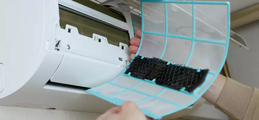 Gentle Ductwork Odor-Control Pet Dander Duct Cleaning in Normal, IL