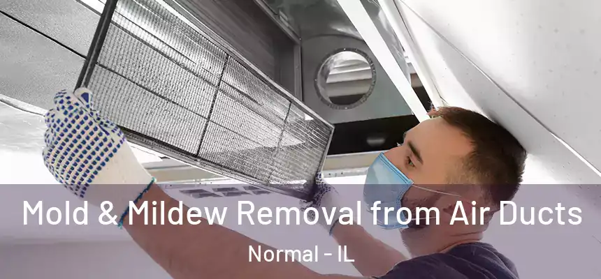 Mold & Mildew Removal from Air Ducts Normal - IL