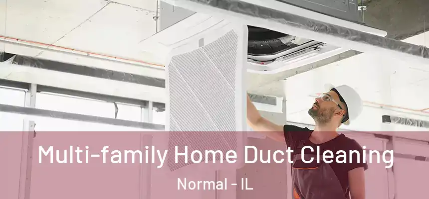 Multi-family Home Duct Cleaning Normal - IL