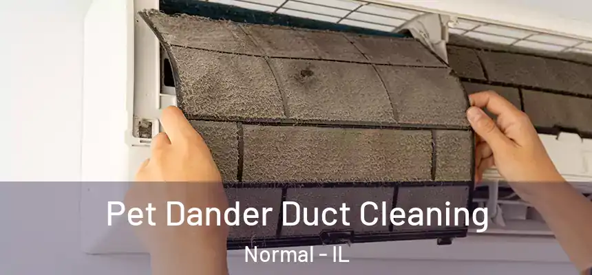 Pet Dander Duct Cleaning Normal - IL