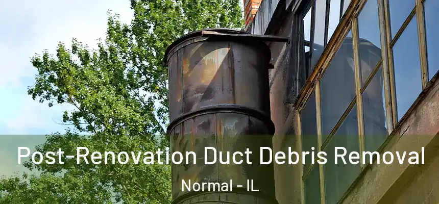 Post-Renovation Duct Debris Removal Normal - IL
