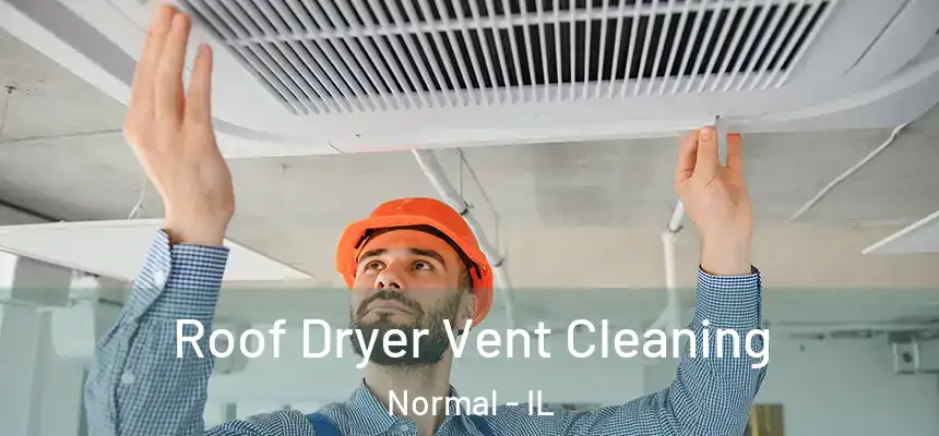 Roof Dryer Vent Cleaning Normal - IL