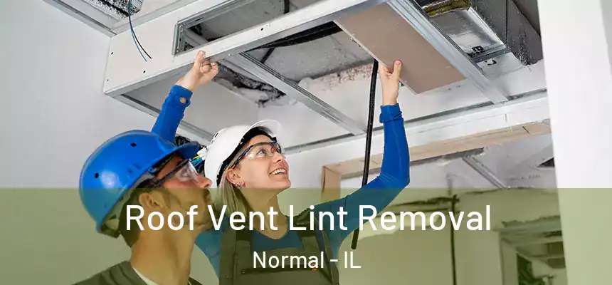 Roof Vent Lint Removal Normal - IL
