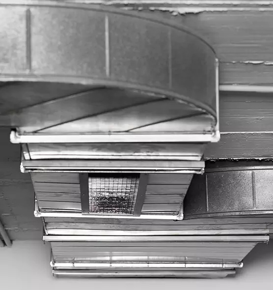 Professional Air Duct Pet Hair Removal in Normal, IL