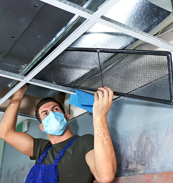 Professional Air Duct Pollen Cleaning in Normal, IL