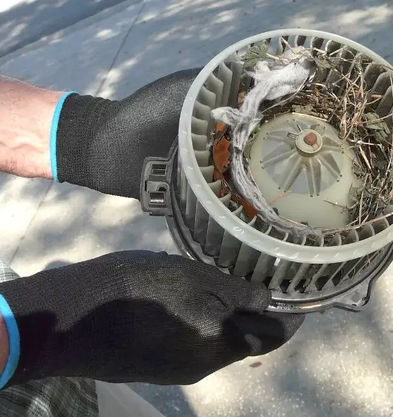 About Air Duct Rat Removal in Normal, IL