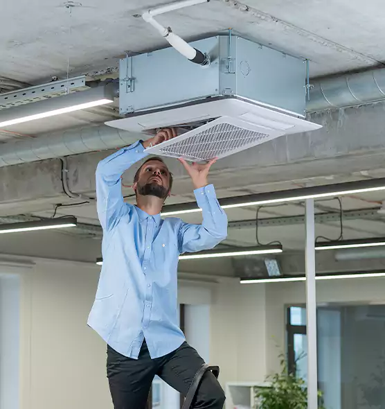 Advanced Rodent Droppings In Vents in Normal, IL