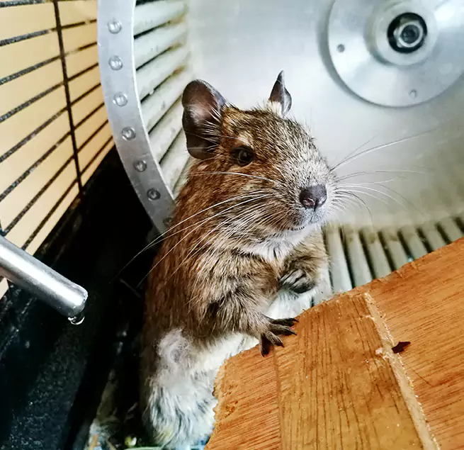 Why Homeowners & Businesses Trust Us Normal, IL