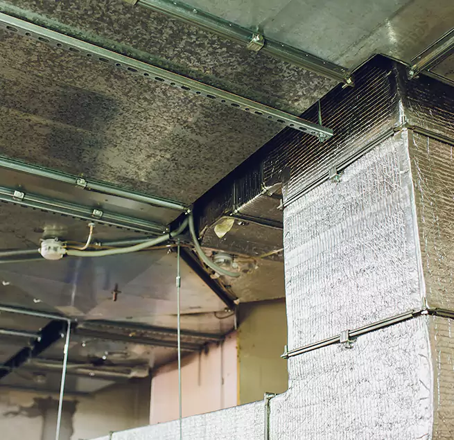 Why Homeowners & Businesses Trust Us in Normal, IL?