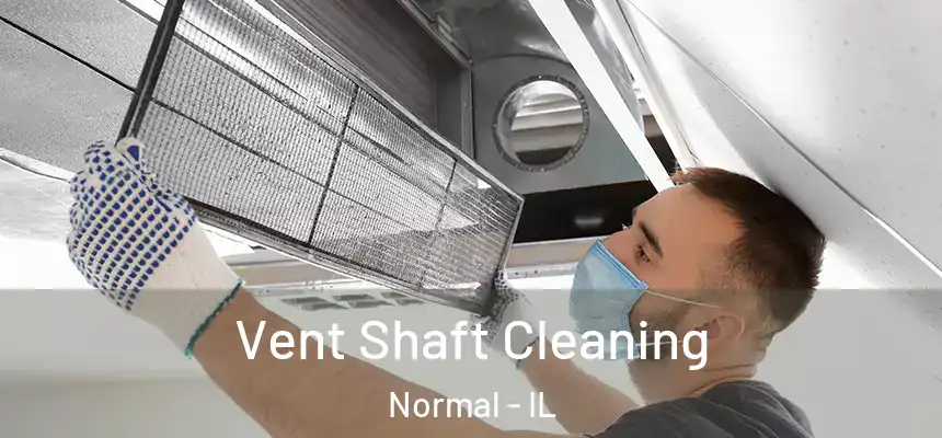 Vent Shaft Cleaning Normal - IL